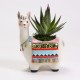 Ceramic Bisque Llama Container